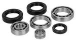 Balls 25-2009-5 Differential Seal Only Kit. Fixed Price $29.09.
