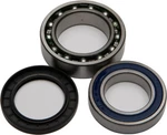 Balls Wheel Bearing & Seal Kit 25-1011. Fixed Price $60.28.
