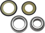 Balls 22-1038 Steering Bearing Kit. Fixed Price $69.47.