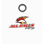 Balls Bearing With Two Rubber Seals 6804-2RS. Fixed Price $16.58.