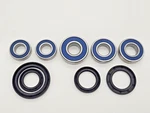 Suzuki DR-Z400 All Models 2000-2020 Front And Rear Wheel Bearings Seals. Fixed Price $29.89.