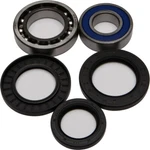 Balls Wheel Bearing & Seal Kit 25-1015. Fixed Price $45.76.